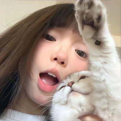 圣人莫德